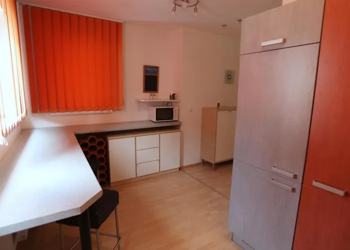 Freundliche Zentrale Wohnung Naehe Donau Kanal * Viyana